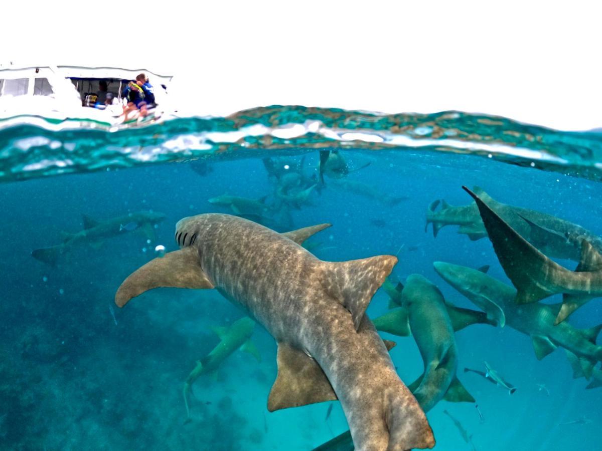 Adroit Beach Inn Guraidhoo  Esterno foto