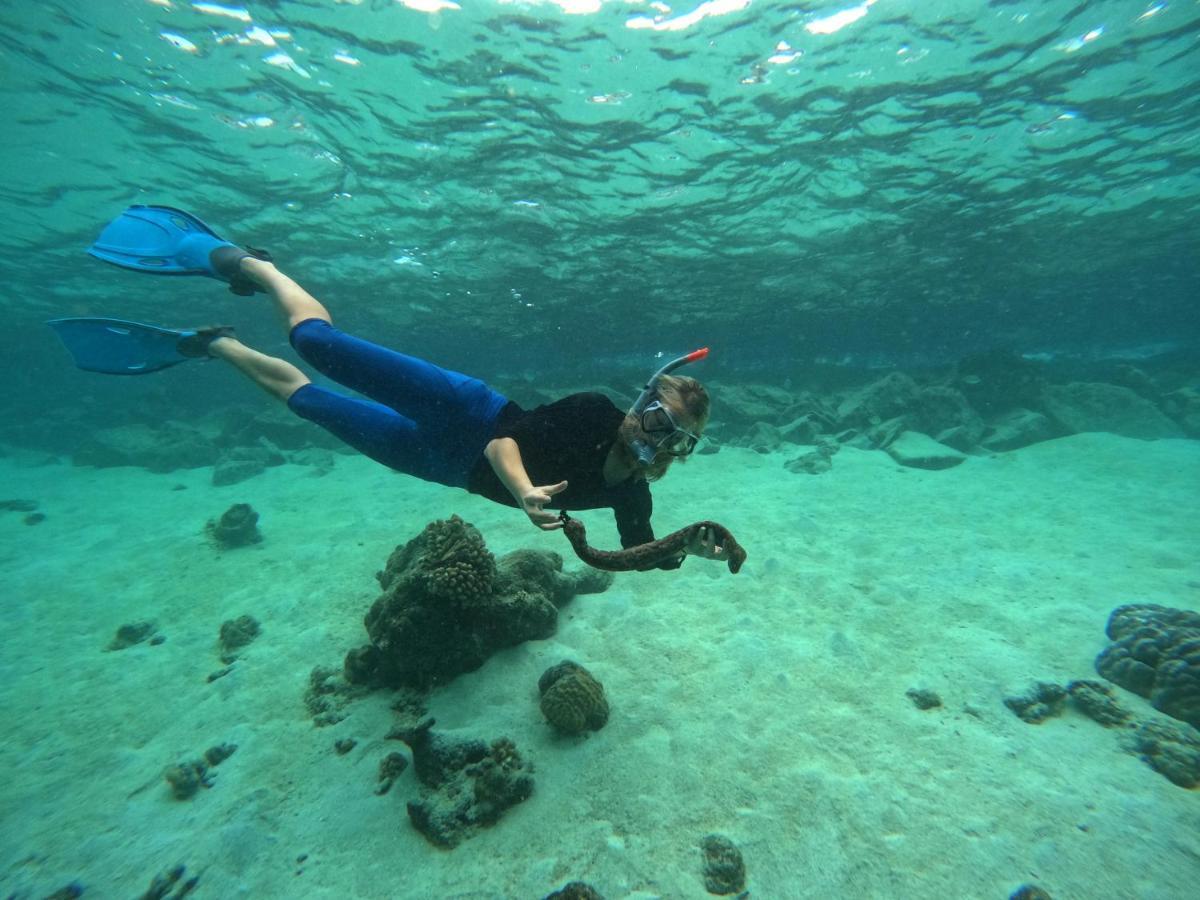 Adroit Beach Inn Guraidhoo  Esterno foto