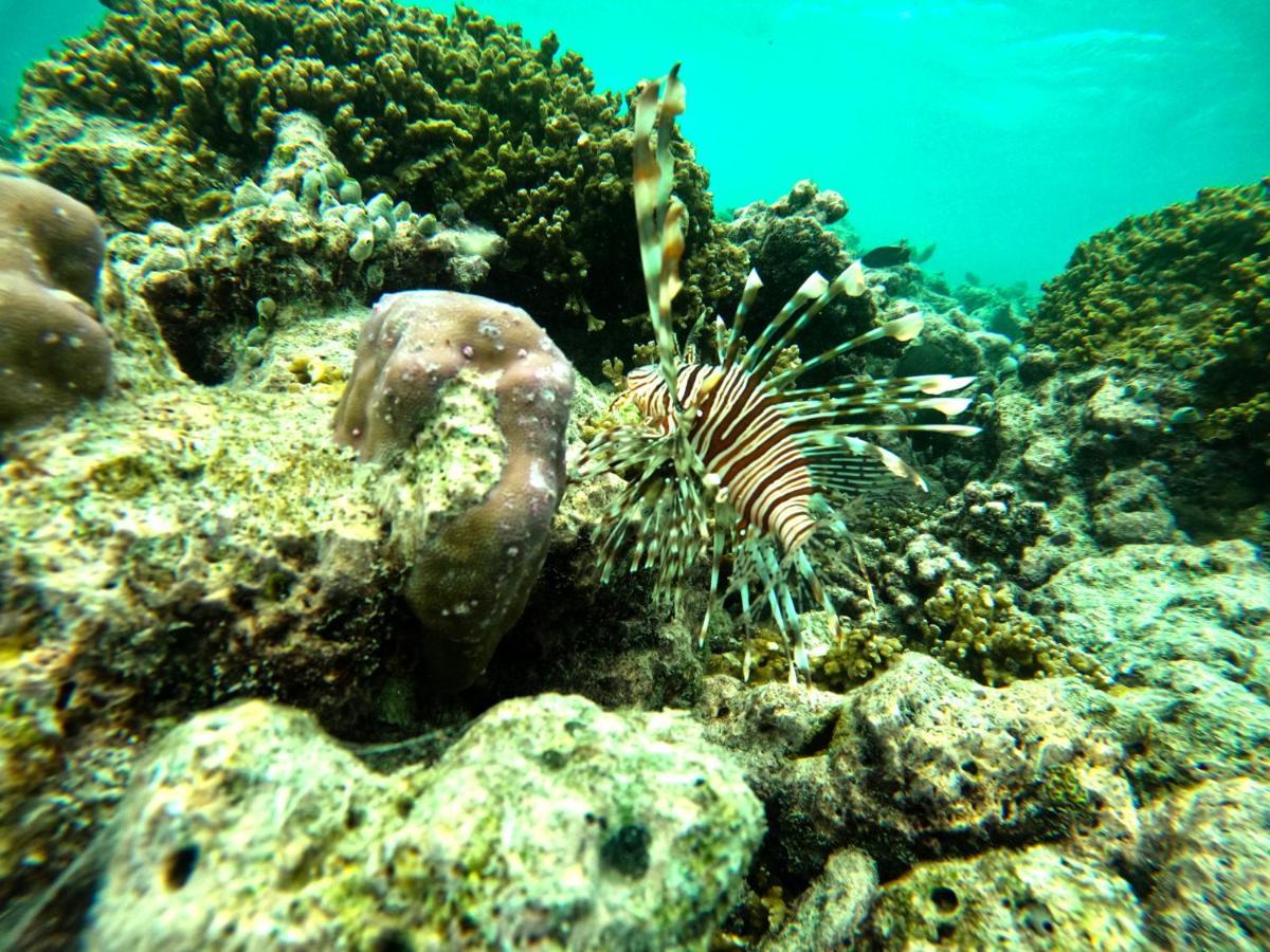 Adroit Beach Inn Guraidhoo  Esterno foto